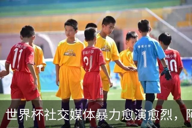 世界杯社交媒体暴力愈演愈烈，阿根廷遭到最严峻的网络攻击